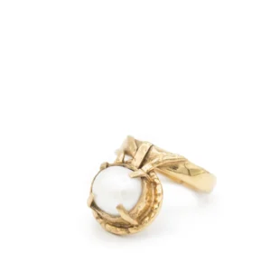 The CLEO Ring